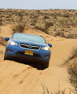 טיולי 4x4 - למטייל בישראל (טיולי)